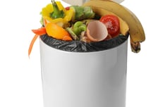 번거로운 음식물쓰레기 냉동고에 '꽁꽁'…식중독균 번진다