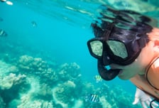 "日방사능 오염수 방류해도 6000억 살까지 거뜬" 핵의학회장이 말했다