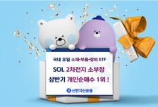 배터리에 몰렸다…'SOL 2차전지소부장Fn' 개인 순매수 1위