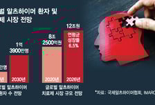 치매藥 주도권 다시 쥔 바이오젠·에자이, 국내사 반색 이유는