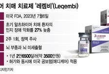 "치매 종말의 시작" 치매 늦추는 신약, 韓 들어온다…약값은?
