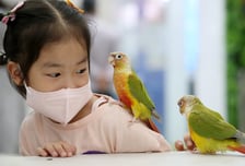 [기자수첩] 개는 되고 앵무새는 되지 않는 것