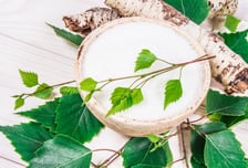 충치 잡는 자일리톨, 반려견엔 독약?… 구토·발작 증상 부른다