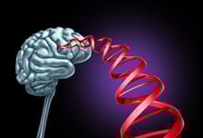 염증이 부르는 뜻밖의 병 '우울증'…韓 의료진, 세계 최초 규명