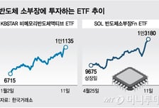 연초 이후 339% 뛴 반도체 소부장 기업…관련 ETF 수익률 쑥쑥