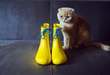 레인부츠 벗었더니 흰 가루가 우수수…방치했다간