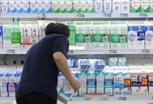멸균우유 싸긴 한데…'유통기한 1년' 수입산 품질 괜찮을까
