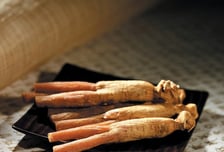 독감·코로나 급증, 면역력 어쩌나…'이것' 먹은 폐렴쥐, 생존률 100%