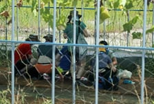 병원 찾은 잼버리 참가자 992명… 중앙응급의료센터 "인력 파견"