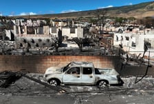 "태풍처럼 폭염에 이름 붙이자"…세계가 바뀐 기후에 대응하는 법
