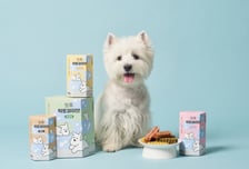 핏펫, 유산균 함유한 반려견 간식 '잇츄 락토파이브' 출시