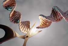 유전자 가위·전달체 이용한 줄기세포 신약 임상, 국내 최초 진행