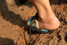 성묘 다녀온 뒤 고열로 '시름시름'…반팔에 발목 양말이 위험한 이유