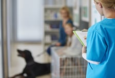 동물병원서 나비약·수면유도제 사라졌다…납품받고 문 닫아