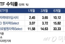 원자력 ETF 최고 수익률 40%…세계적 추세에 정부 정책까지