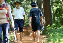 "맨발 걷기가 암도 잡는대" 따라 했다가 병 얻는다…이런 사람에겐 '독'