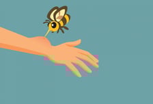 성묘하다 "아악"…응급상황에 '젓가락·신용카드' 도움 된다