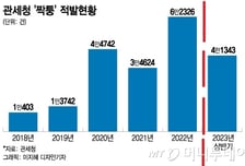 [단독]알리익스프레스 상륙 후 중국발 짝퉁 6배 늘었다