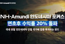국내 유일 인도네시아 단일 투자 펀드…연초 이후 수익률 20% ↑