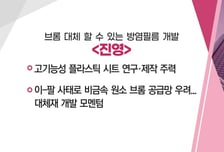 [매매의 기술] 4Q D램 가격 더 오른다… 삼성-SK 흑자전환 기대감 '피에스케이홀딩스' VS 브롬 대체 할 수 있는 방염필름 개발 '진영'