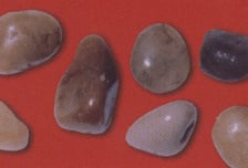 "자승 스님 몸에서도 돌이…" 불교계 미스터리 '사리'는 어떻게 생기나