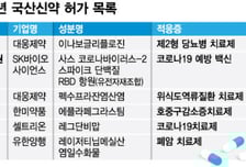 해 넘기는 국산신약 37호 허가…업계 "시기보단 시장성이 중요"