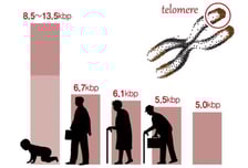 노화 해결할 열쇠?…"젊어질 수 있다면" 주사 맞으러 일본행까지