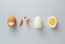 면역력 키우는데 최고인데…식중독균 득실? 오해받는 '이 식품'