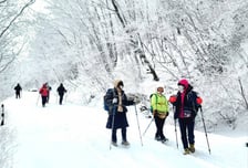 "추운데 짐 든든히 챙기자" 해돋이 산행 이랬다간…'이것' 조심하세요
