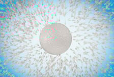 "자연임신 힘들어" 이상민, '멈춘' 정자에 충격…정자 질 높이려면