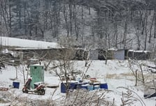 "개 농장에 10억 투자했는데"…개 식용 금지에 '패닉'[르포]