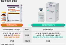 "아내 살릴 마지막 희망" 전국민 서명운동…'1년에 2억' 유방암 약 뭐길래