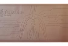 40세부터 줄어드는 '항노화' 산화질소, "톨레스 쐬면 몸속 생성"