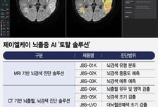 제이엘케이, 국제뇌졸중콘퍼런스 참가…'메디허브 스트로크' 해외 진출 속도