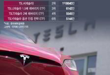 "믿고 사는 테슬라"…실적쇼크에 몰려든 불개미, 4500억원 '쇼핑'