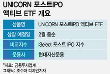[단독]IPO '따따블' 열기 속…현대자산운용, 국내 첫 포스트IPO ETF 낸다