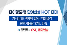 [매매의 기술] 'AI서버' 를 액체에 담가 '액침냉각'… 전력사용량 37% 감축 'GST' VS '기업 밸류업 프로그램'에 저PBR株 기대감↑'한화'