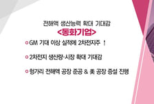 [매매의 기술] 돈 많고 저평가된 기업 찾아라 '현대지에프홀딩스' VS 전해액 생산능력 확대 기대감 '동화기업'