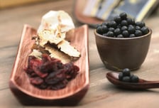 "쥐 면역세포 살렸다" 자생한방병원, '육공단' 면역 증강 효과 입증