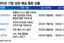 "게임체인저 있어도…" 유망 바이오도 상장 허들 못넘고 좌절
