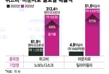 '위고비·마운자로', 출시도 안된 韓서 ETF까지…올해도 고공행진 예고