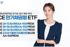 만기 긴 청년도약계좌 대신 '이 ETF' 어때?