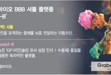 빅파마 성과에 에이비엘바이오 'BBB 셔틀' 주목…주가도 상승흐름