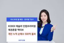 한국인 테슬라 사랑 여전…'이 ETF'에 자금 500억원 들어왔다