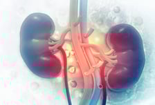 콩팥 망가져 투석 받으면 장애인?…우리가 몰랐던 법적 장애