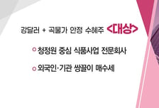[매매의 기술] 바이든, 태양열 프로젝트에 9.7조 지원 발표 'HD현대에너지솔루션' VS 강달러 + 곡물가 안정 수혜주 '대상'