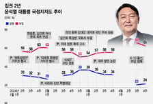 '53%→23%' 반토막 난 윤 대통령 지지율…민심 떠난 결정적 장면들