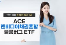 엔비디아 실적 발표 앞두고…'이 ETF'에 돈 몰렸다