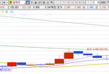 [MTN머니로 상한가 포착] 온디바이스 AI 안면인식 시스템 개발 지원 소식에... 알체라 상승