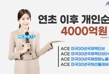 미국 장기채 ACE ETF, 올해 개인 순매수 누적 4000억 돌파
